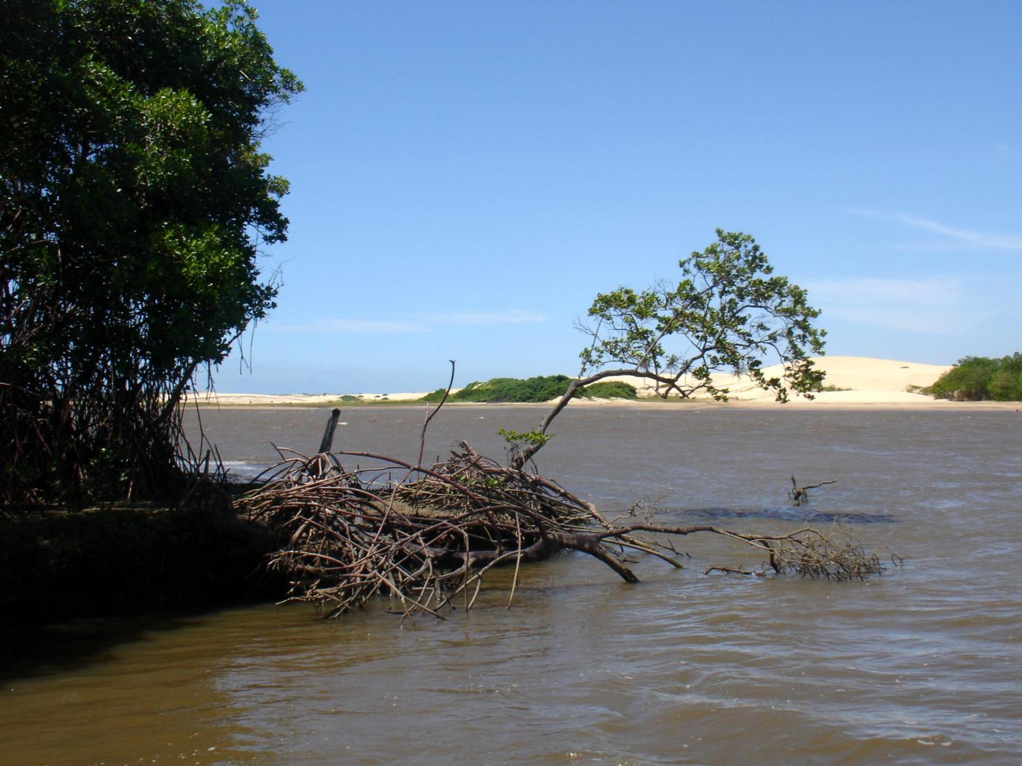Pousada Barra Do Mundaú Extérieur photo